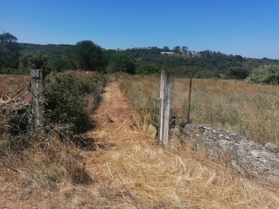 Terreno para Venda em Santo Quintino Foto 5