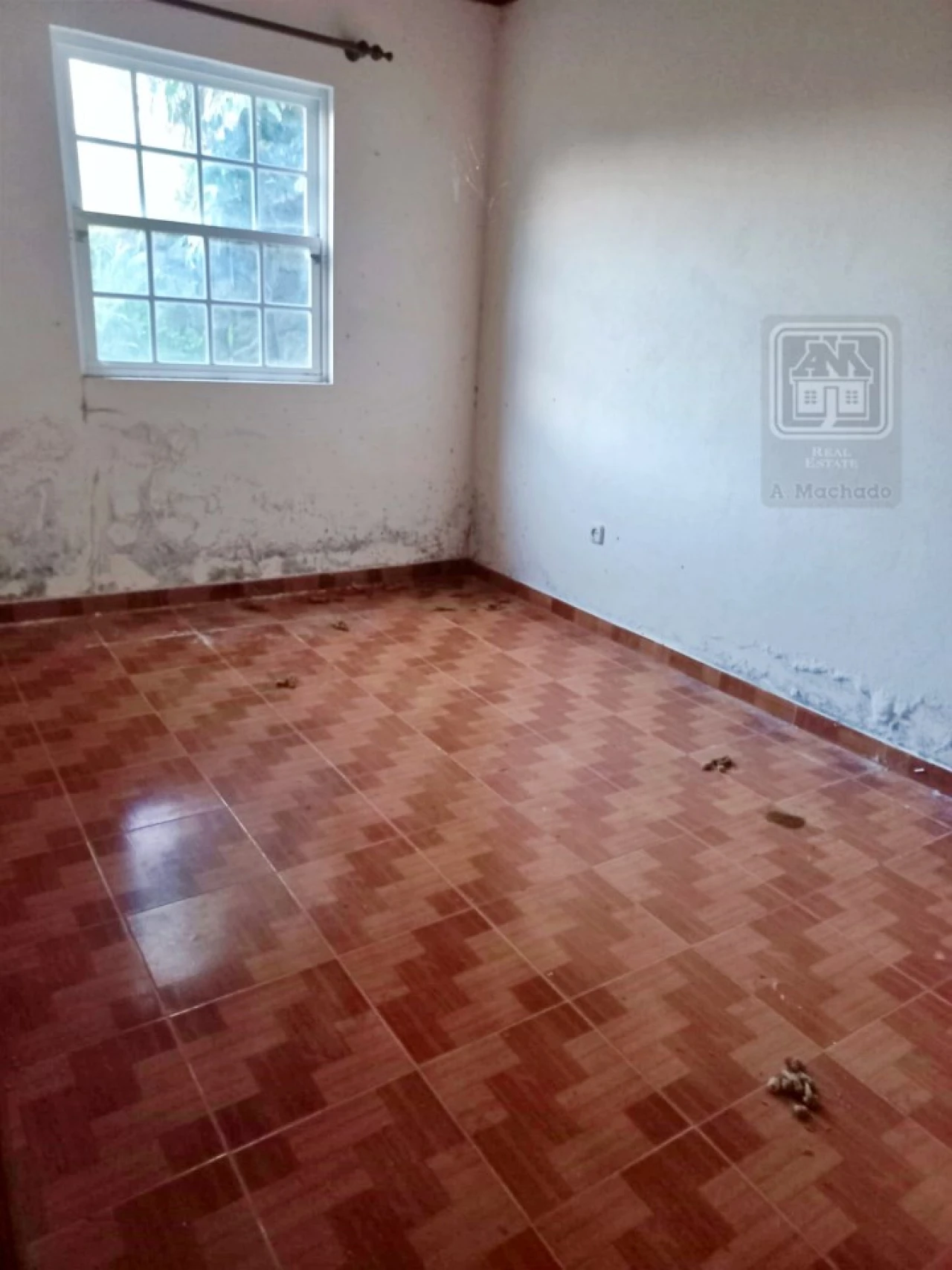 Moradia T2 para Venda em Topo (Nossa Senhora do Rosario) Foto 5