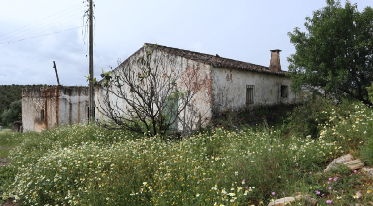 Terreno para Venda em Luz de Tavira e Santo Estêvão Foto 20