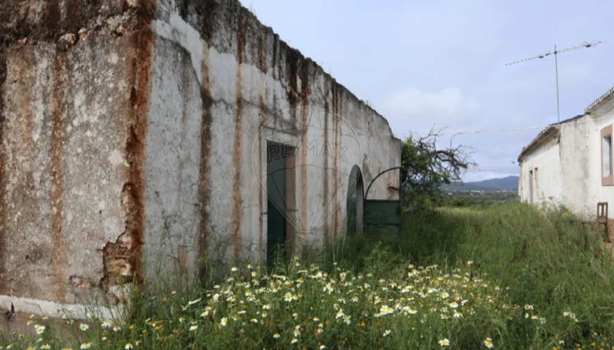 Terreno para Venda em Luz de Tavira e Santo Estêvão Foto 21
