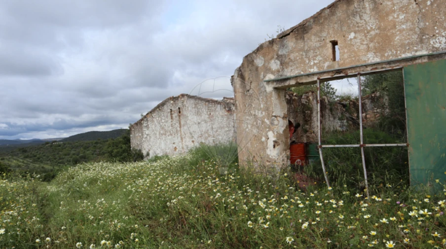 Terreno para Venda em Luz de Tavira e Santo Estêvão Foto 19