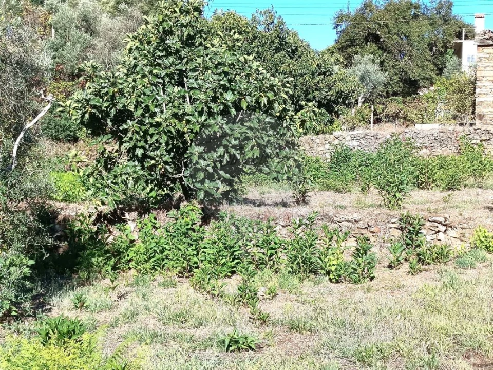 Terreno para Venda em Mosteiro Foto 13