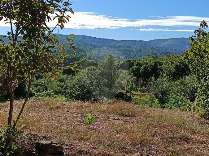 Terreno para Venda em Mosteiro Foto 1