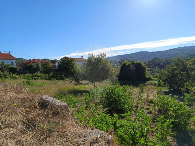 Terreno para Venda em Mosteiro Foto 6