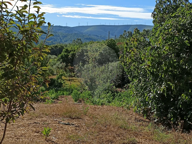 Terreno para Venda em Mosteiro Foto 3