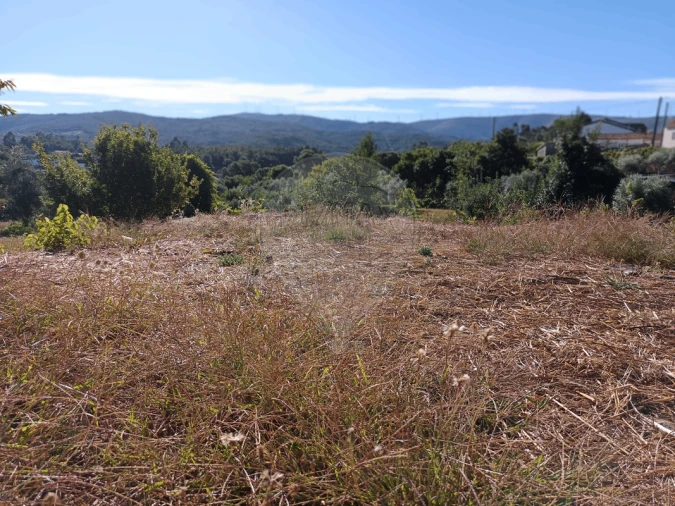 Terreno para Venda em Mosteiro Foto 5