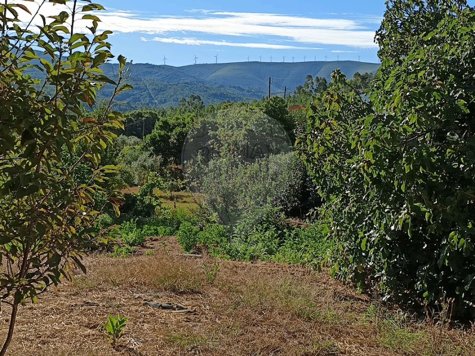 Terreno para Venda em Mosteiro Foto 3