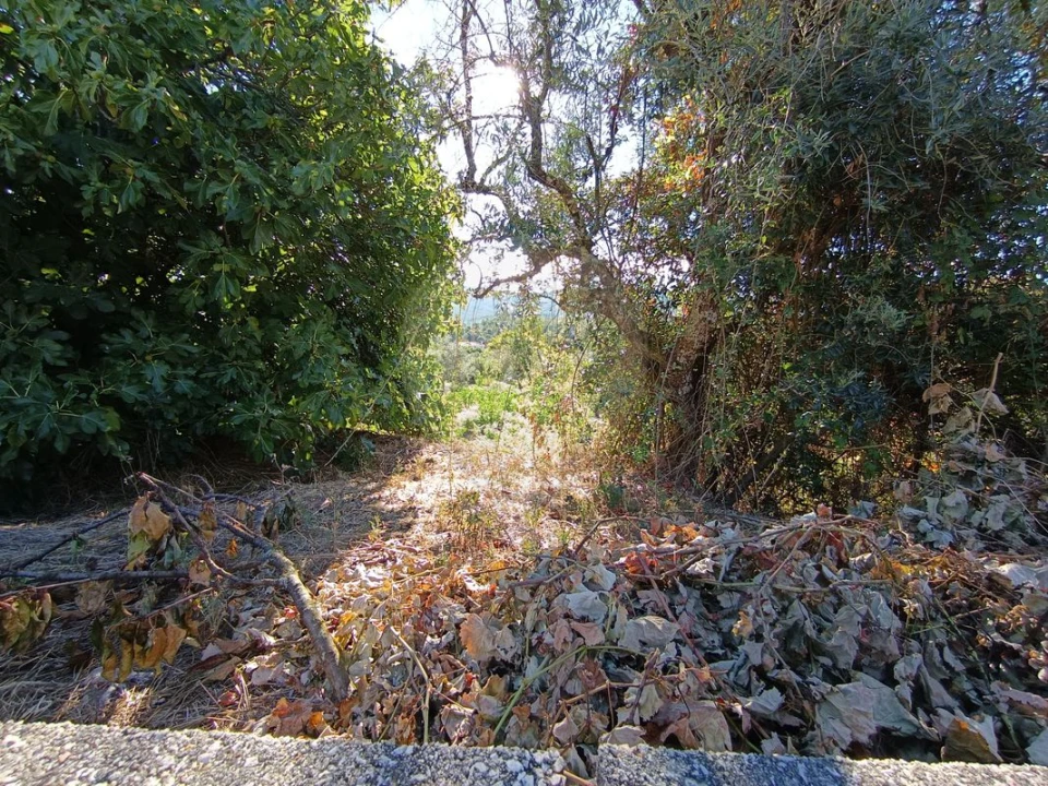 Terreno para Venda em Mosteiro Foto 8