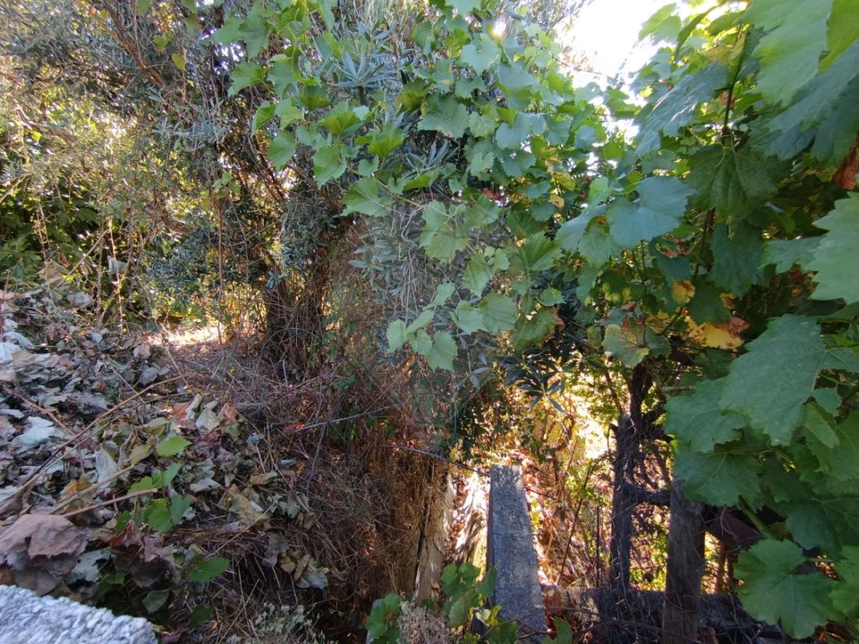 Terreno para Venda em Mosteiro Foto 11