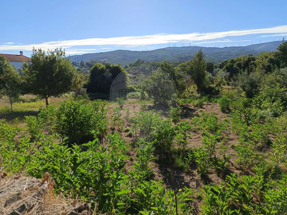 Terreno para Venda em Mosteiro Foto 7