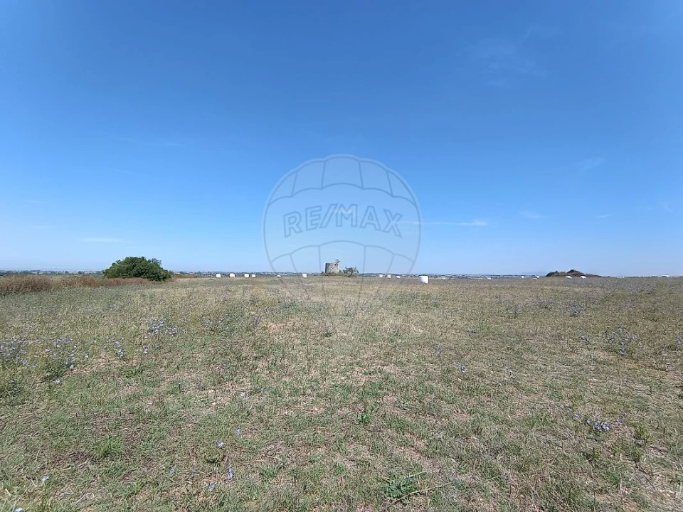 Terreno para Venda em Achete, Azoia de Baixo e Póvoa de Santarém Foto 16