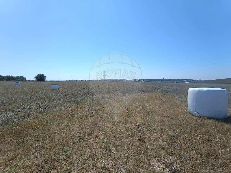 Terreno para Venda em Achete, Azoia de Baixo e Póvoa de Santarém Foto 6