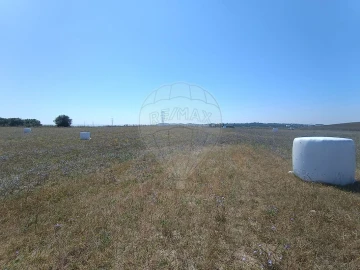 Terreno para Venda em Achete, Azoia de Baixo e Póvoa de Santarém