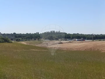 Terreno para Venda em Achete, Azoia de Baixo e Póvoa de Santarém
