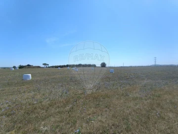 Terreno para Venda em Achete, Azoia de Baixo e Póvoa de Santarém