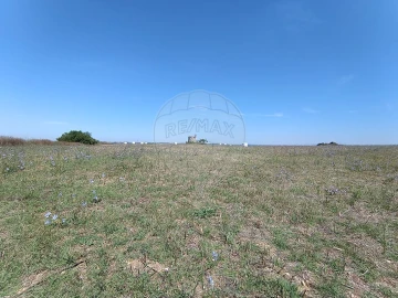 Terreno para Venda em Achete, Azoia de Baixo e Póvoa de Santarém