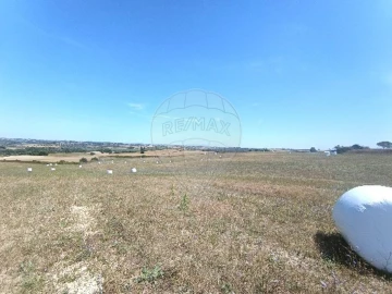 Terreno para Venda em Achete, Azoia de Baixo e Póvoa de Santarém