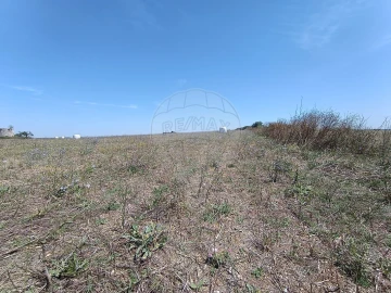 Terreno para Venda em Achete, Azoia de Baixo e Póvoa de Santarém