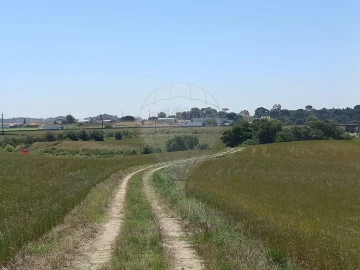 Terreno para Venda em Achete, Azoia de Baixo e Póvoa de Santarém