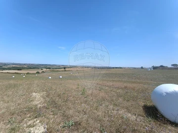 Terreno para Venda em Achete, Azoia de Baixo e Póvoa de Santarém