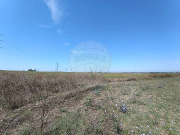 Terreno para Venda em Achete, Azoia de Baixo e Póvoa de Santarém