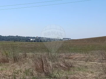 Terreno para Venda em Achete, Azoia de Baixo e Póvoa de Santarém