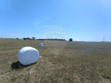 Terreno para Venda em Achete, Azoia de Baixo e Póvoa de Santarém
