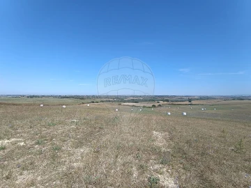 Terreno para Venda em Achete, Azoia de Baixo e Póvoa de Santarém