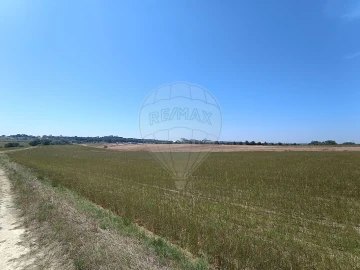 Terreno para Venda em Achete, Azoia de Baixo e Póvoa de Santarém