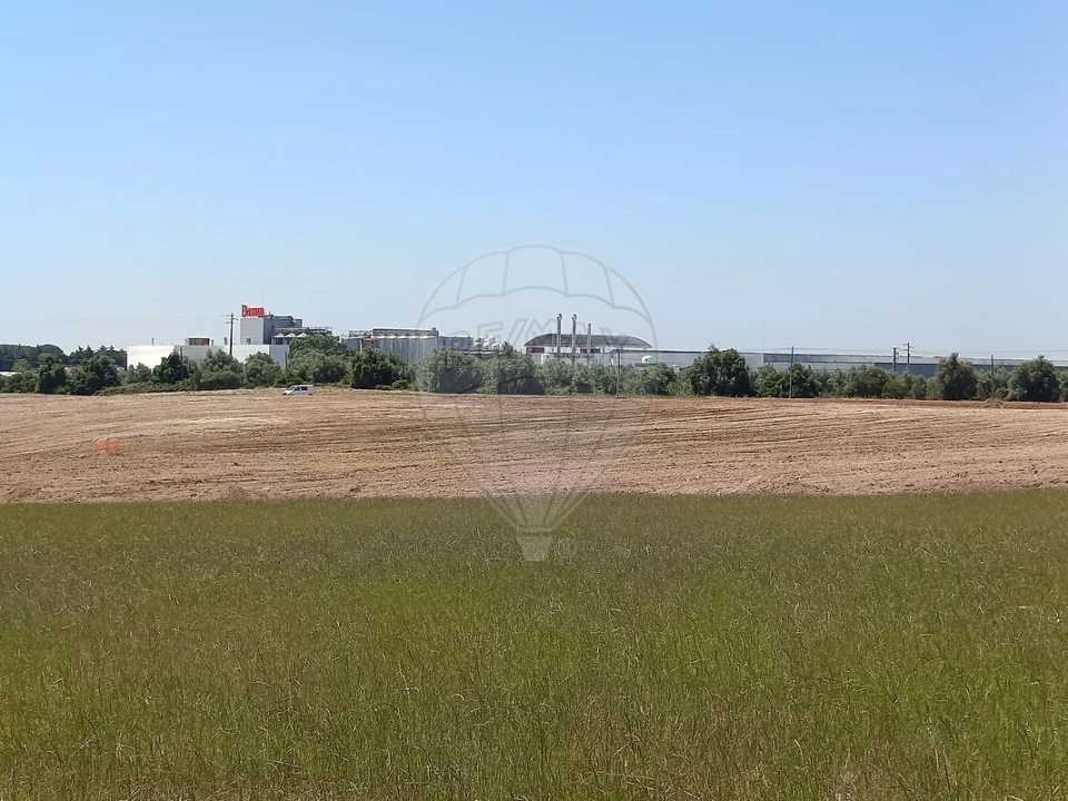 Terreno para Venda em Achete, Azoia de Baixo e Póvoa de Santarém Foto 2