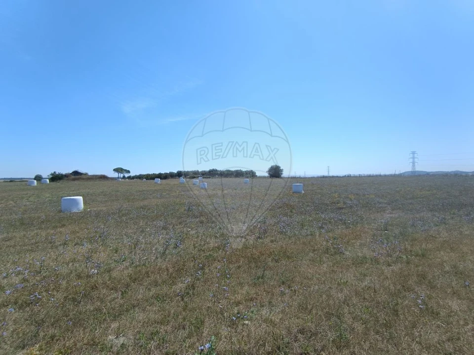 Terreno para Venda em Achete, Azoia de Baixo e Póvoa de Santarém Foto 10