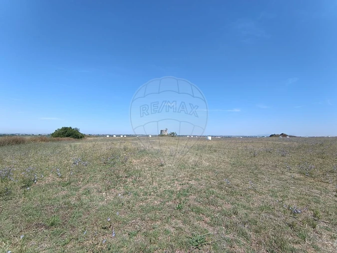 Terreno para Venda em Achete, Azoia de Baixo e Póvoa de Santarém Foto 16