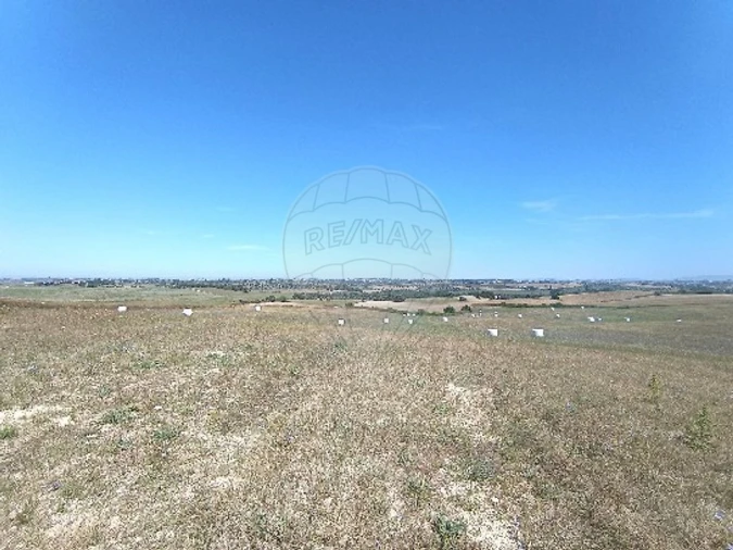 Terreno para Venda em Achete, Azoia de Baixo e Póvoa de Santarém Foto 3
