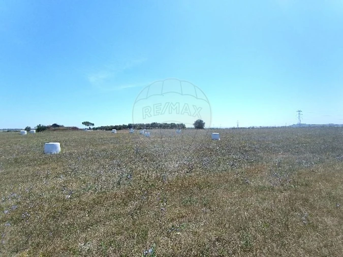 Terreno para Venda em Achete, Azoia de Baixo e Póvoa de Santarém Foto 4