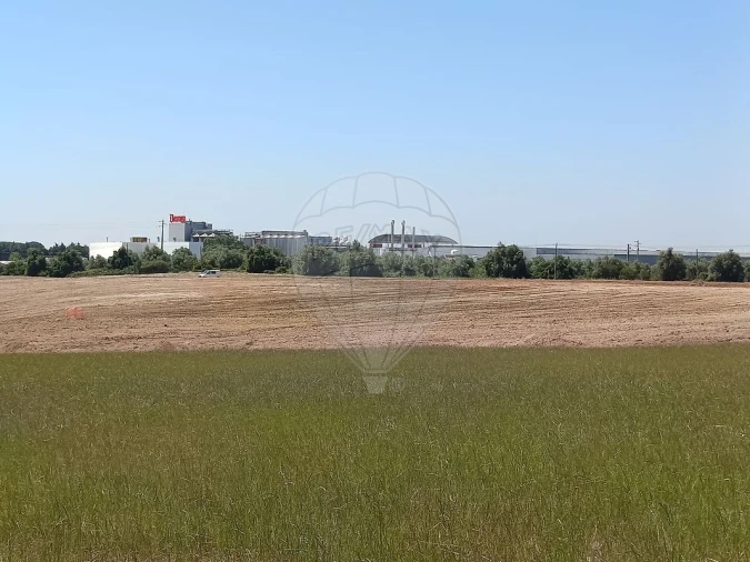 Terreno para Venda em Achete, Azoia de Baixo e Póvoa de Santarém Foto 2