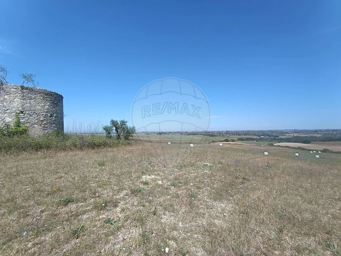 Terreno para Venda em Achete, Azoia de Baixo e Póvoa de Santarém Foto 26