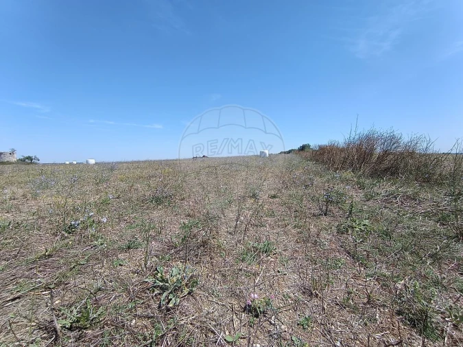 Terreno para Venda em Achete, Azoia de Baixo e Póvoa de Santarém Foto 19