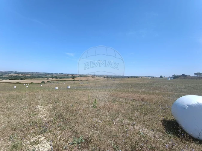 Terreno para Venda em Achete, Azoia de Baixo e Póvoa de Santarém Foto 5