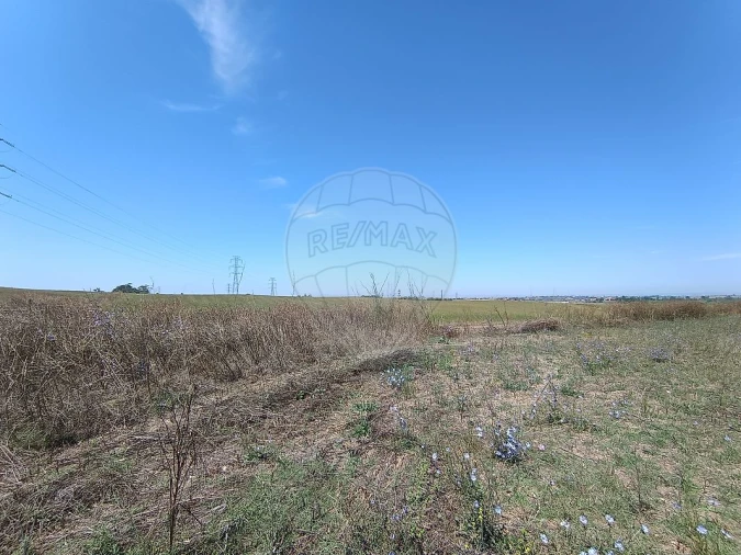 Terreno para Venda em Achete, Azoia de Baixo e Póvoa de Santarém Foto 15