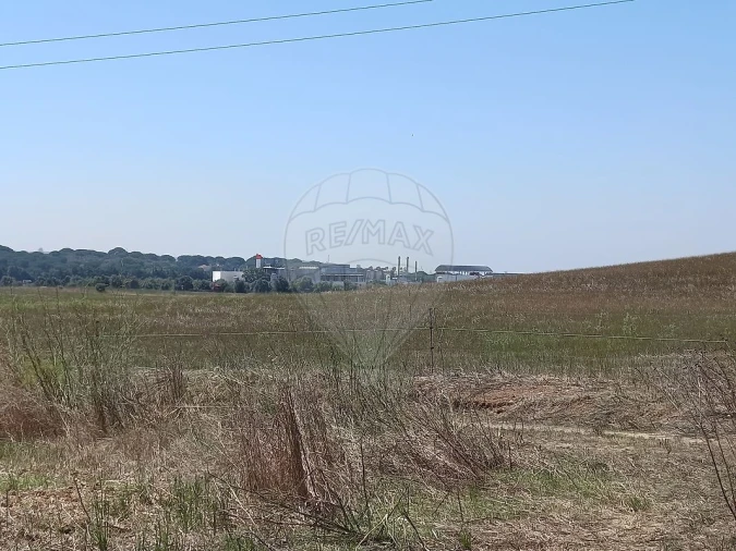Terreno para Venda em Achete, Azoia de Baixo e Póvoa de Santarém Foto 14
