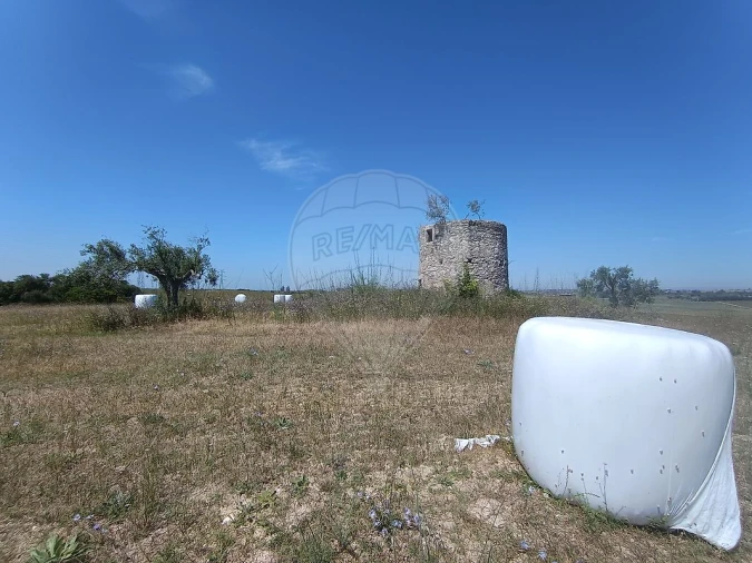Terreno para Venda em Achete, Azoia de Baixo e Póvoa de Santarém Foto 28