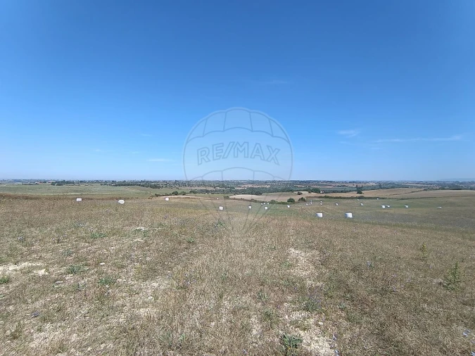 Terreno para Venda em Achete, Azoia de Baixo e Póvoa de Santarém Foto 12