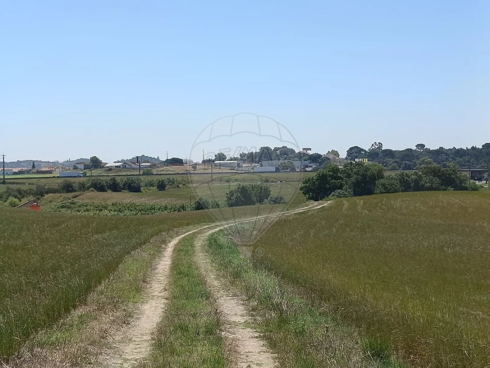 Terreno para Venda em Achete, Azoia de Baixo e Póvoa de Santarém Foto 7