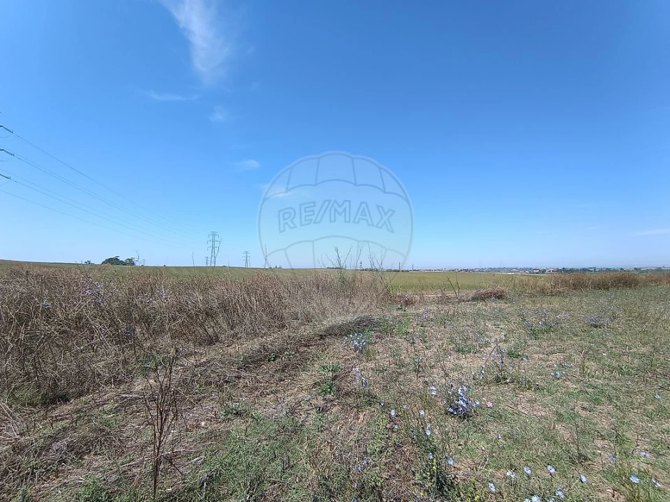 Terreno para Venda em Achete, Azoia de Baixo e Póvoa de Santarém Foto 15