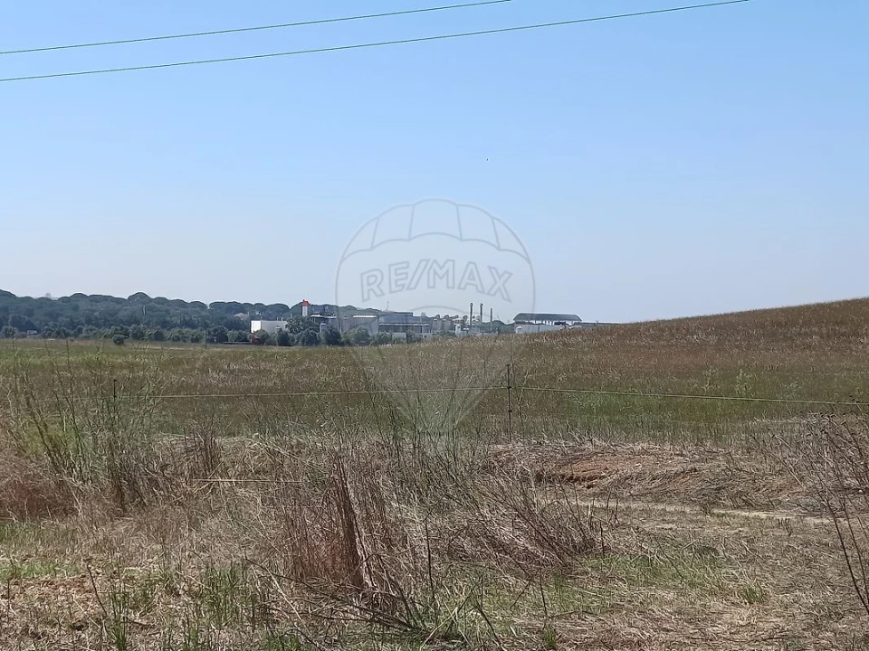 Terreno para Venda em Achete, Azoia de Baixo e Póvoa de Santarém Foto 14