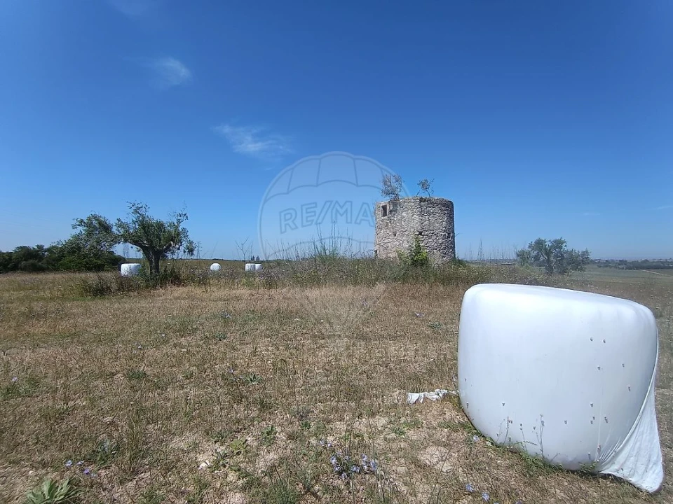 Terreno para Venda em Achete, Azoia de Baixo e Póvoa de Santarém Foto 28