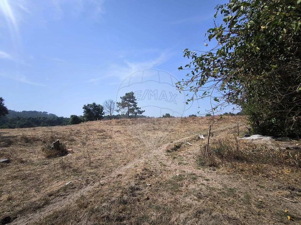 Moradia T2 para Venda em São João da Ribeira e Ribeira de São João Foto 21