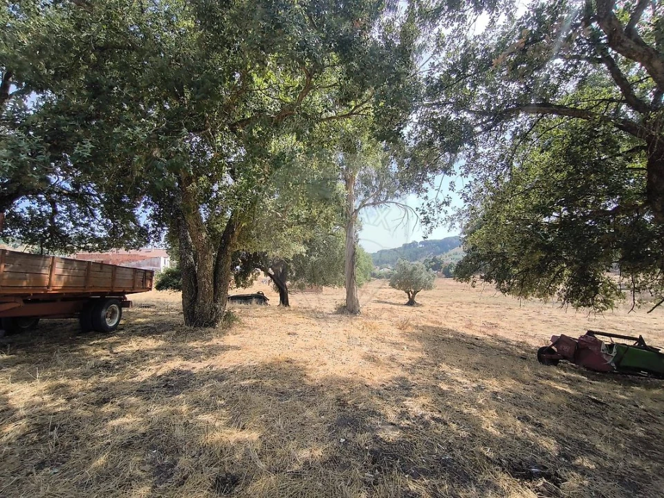 Moradia T2 para Venda em São João da Ribeira e Ribeira de São João Foto 30