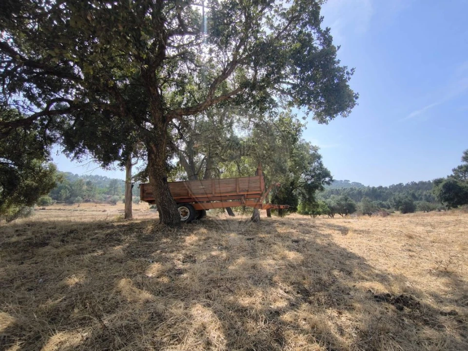 Moradia T2 para Venda em São João da Ribeira e Ribeira de São João Foto 36