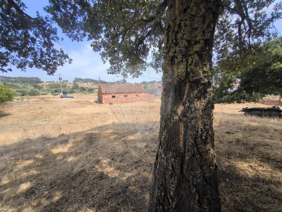 Moradia T2 para Venda em São João da Ribeira e Ribeira de São João Foto 35